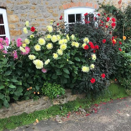 The Cottage Abbotsbury Zewnętrze zdjęcie
