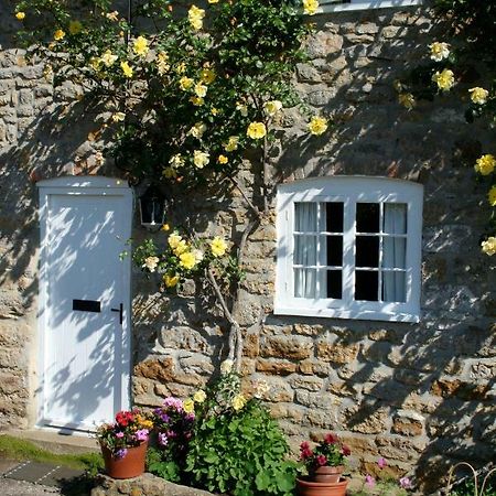 The Cottage Abbotsbury Zewnętrze zdjęcie