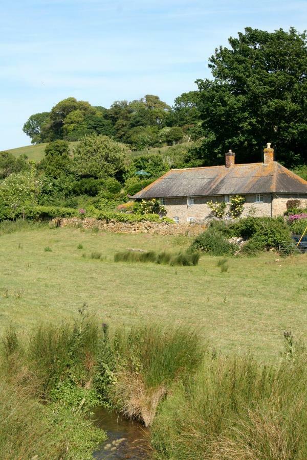 The Cottage Abbotsbury Zewnętrze zdjęcie