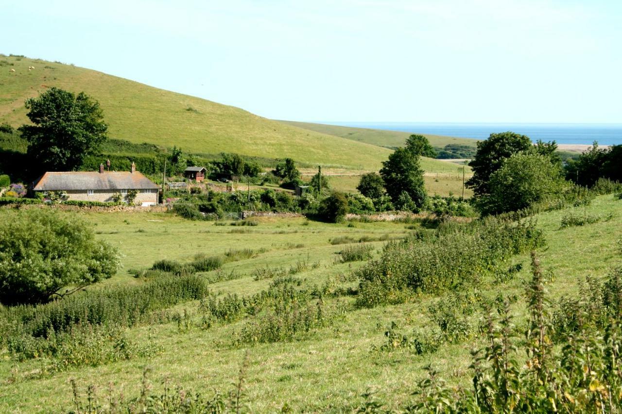 The Cottage Abbotsbury Zewnętrze zdjęcie