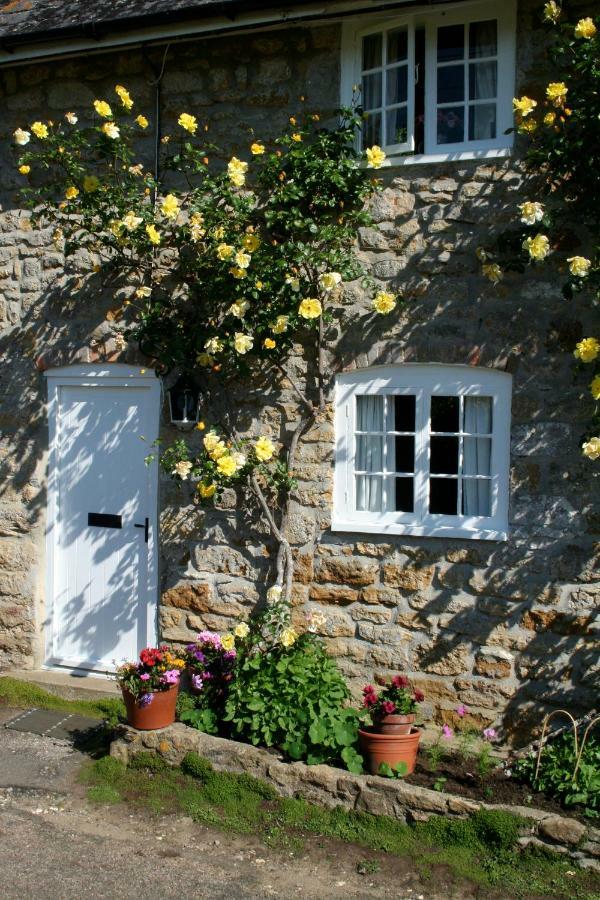 The Cottage Abbotsbury Zewnętrze zdjęcie