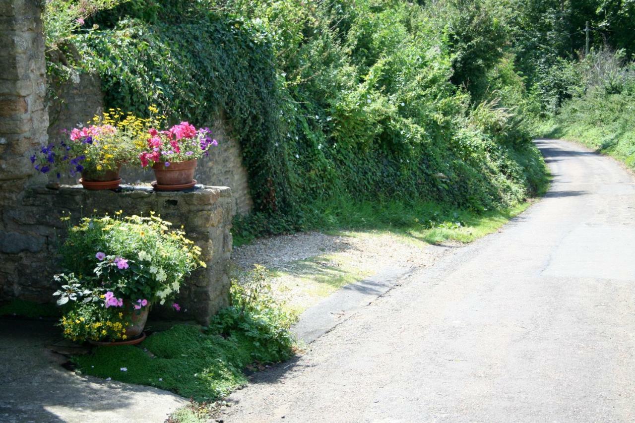 The Cottage Abbotsbury Zewnętrze zdjęcie