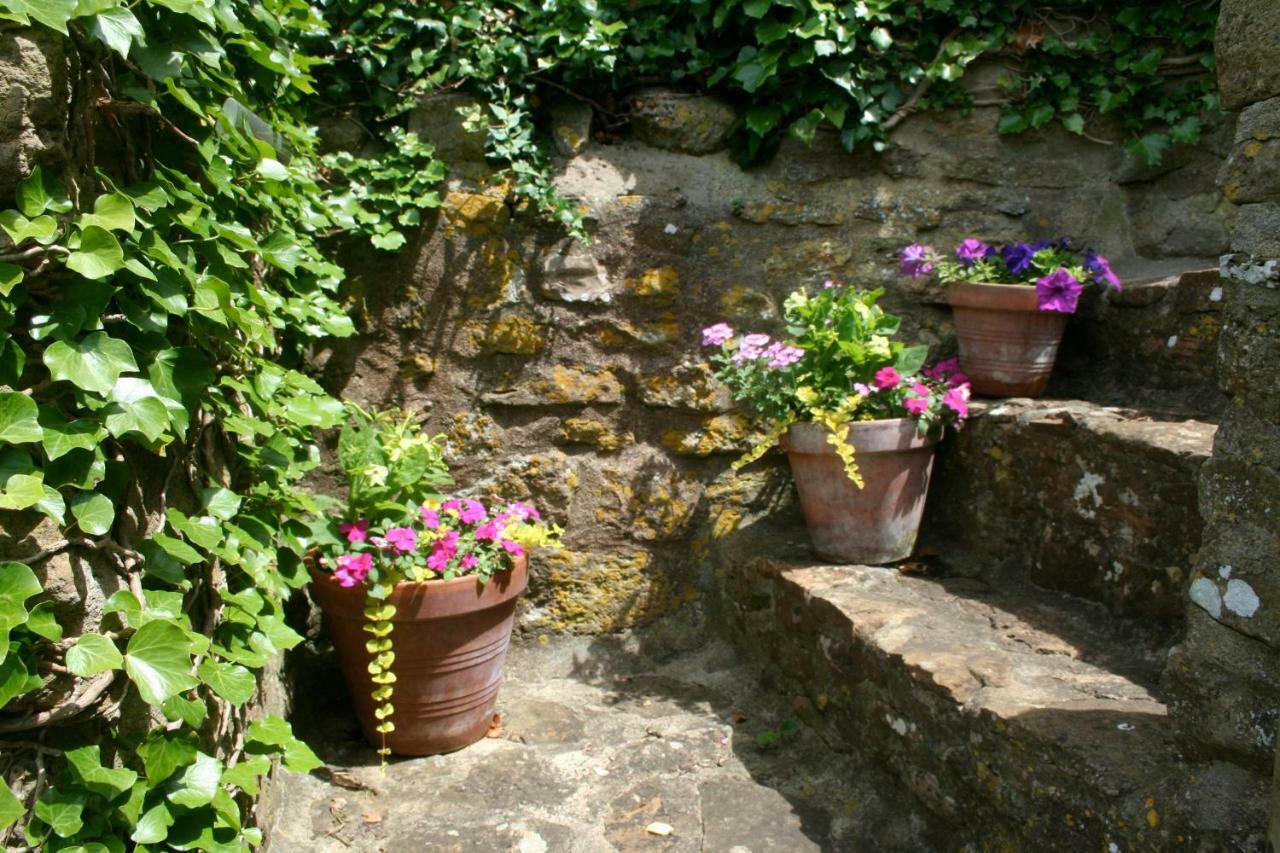 The Cottage Abbotsbury Zewnętrze zdjęcie