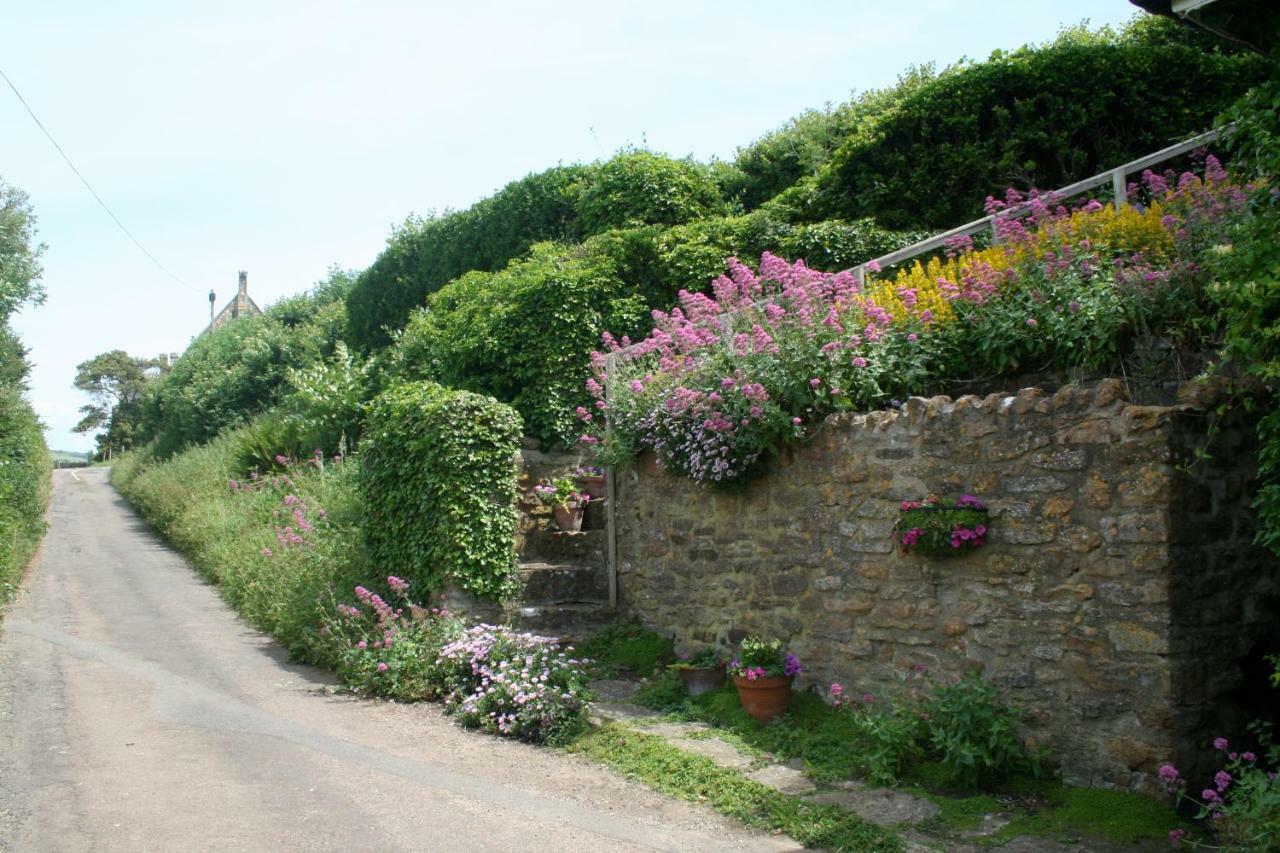 The Cottage Abbotsbury Zewnętrze zdjęcie